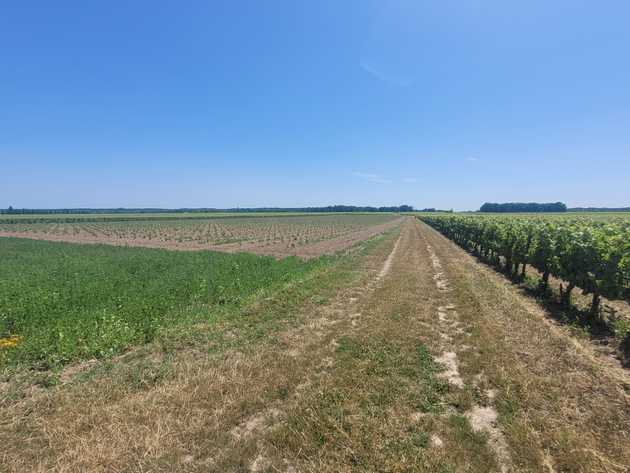 between tours and amboise